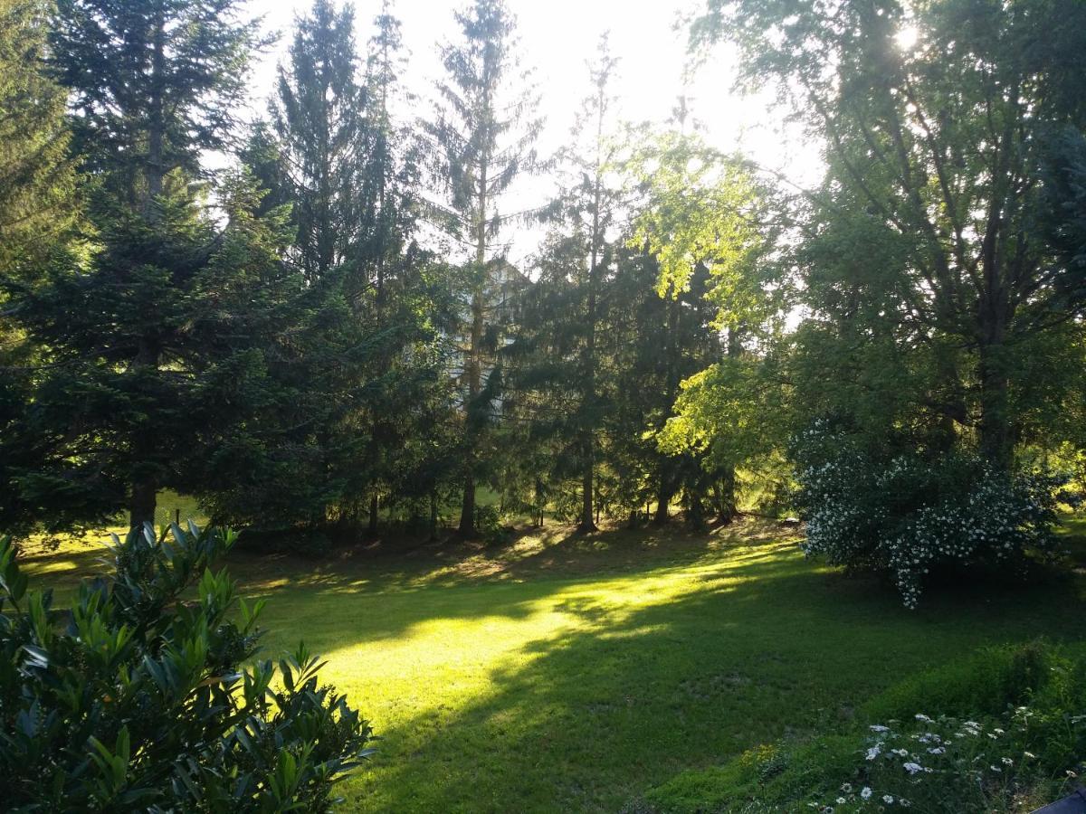 Schwarzwald - Villa Appartments Titisee Dış mekan fotoğraf