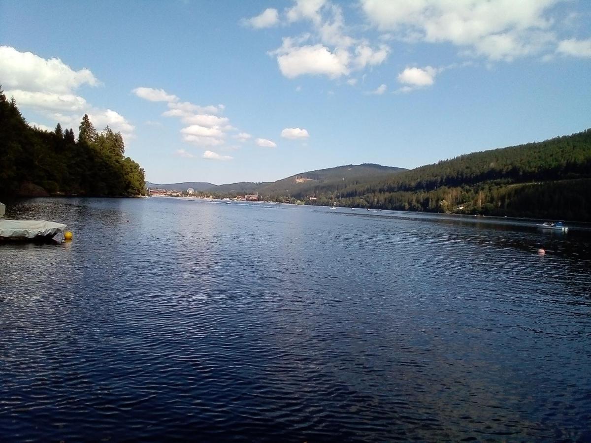 Schwarzwald - Villa Appartments Titisee Dış mekan fotoğraf