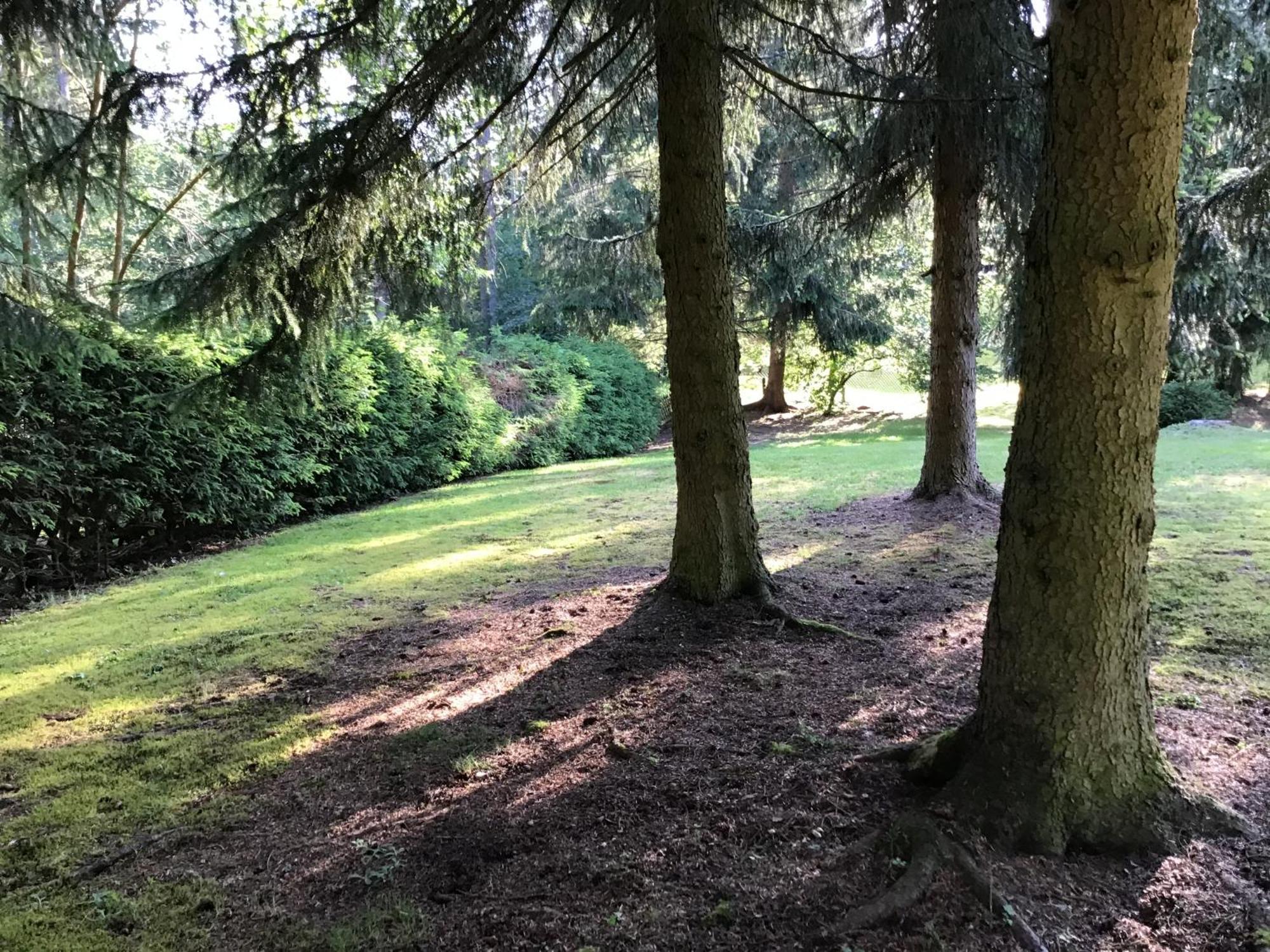 Schwarzwald - Villa Appartments Titisee Dış mekan fotoğraf