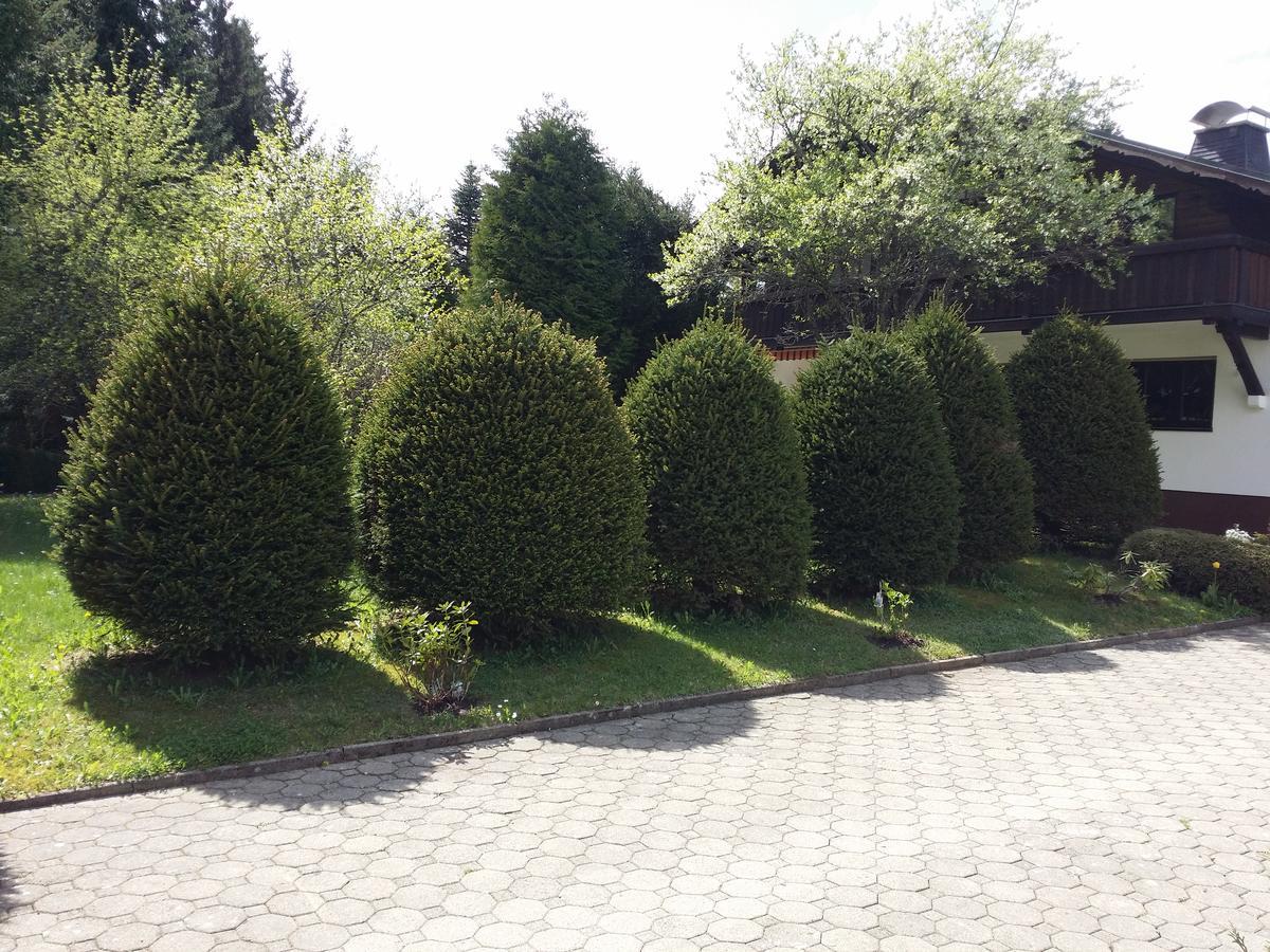 Schwarzwald - Villa Appartments Titisee Dış mekan fotoğraf
