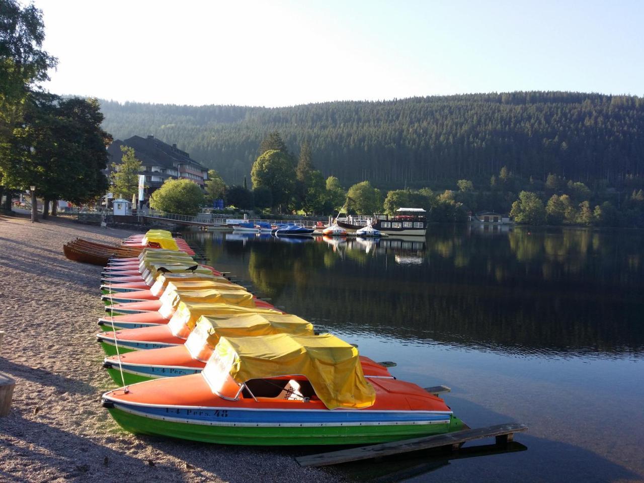 Schwarzwald - Villa Appartments Titisee Dış mekan fotoğraf
