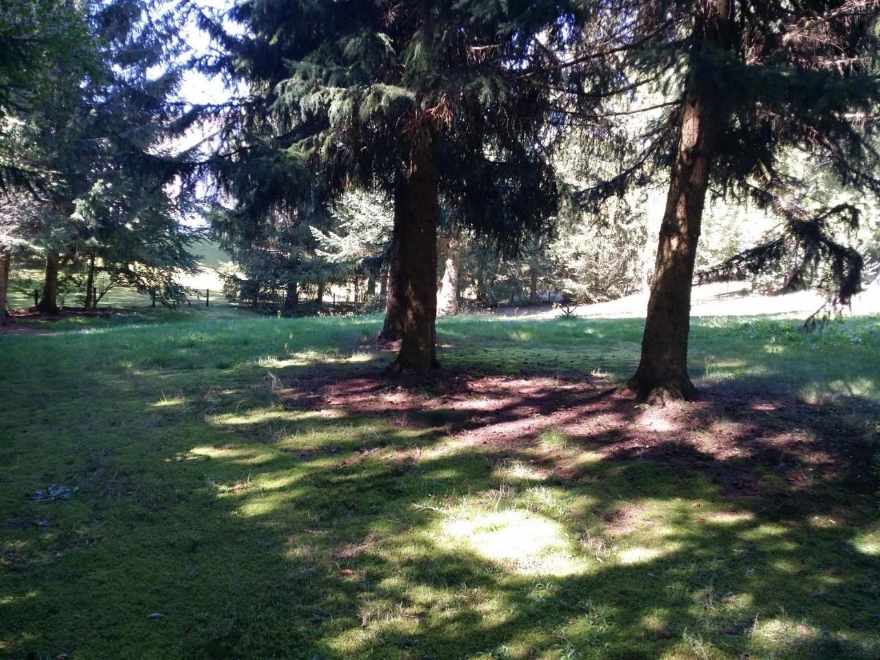 Schwarzwald - Villa Appartments Titisee Dış mekan fotoğraf